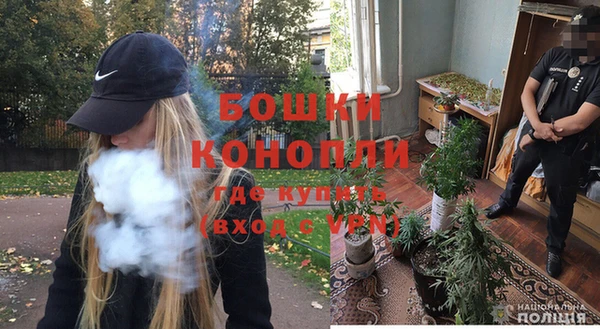 крисы Баксан