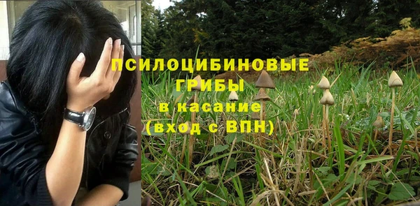 Альфа ПВП Балабаново