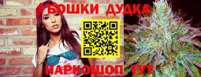 крисы Краснокаменск