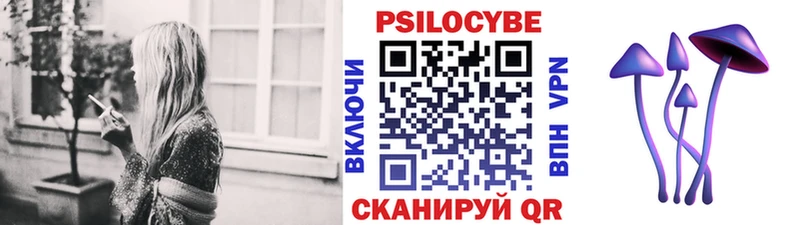 Псилоцибиновые грибы Psilocybe Ногинск