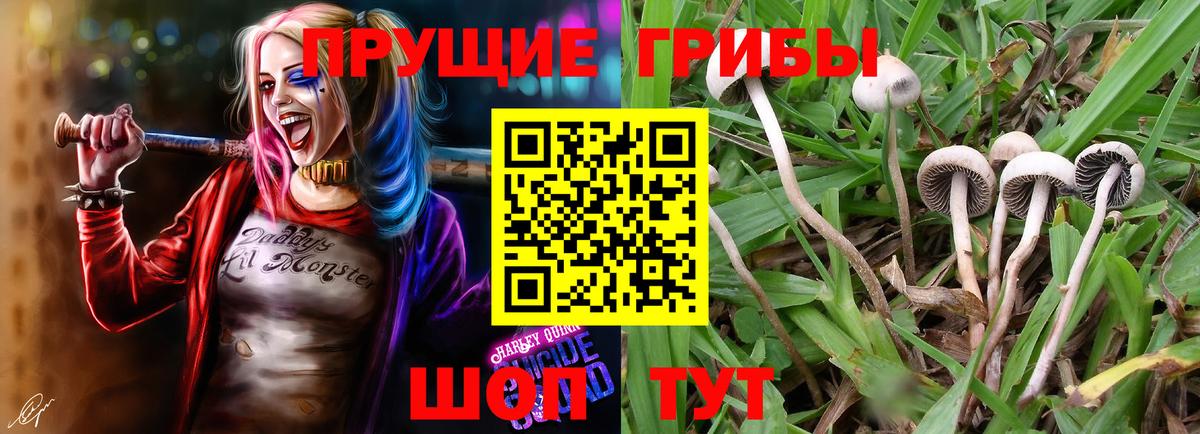Псилоцибиновые грибы MAGIC MUSHROOMS Ногинск
