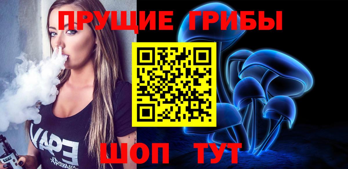 Ногинск  Галлюциногенные грибы Psilocybine cubensis  Вход с VPN 